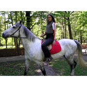 Уроки верховой езды конно-спортивный клуб г.Харьков фото