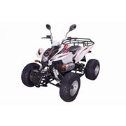 Квадроциклы SHINERAYXY150STЕ фото