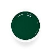 УФ цветной гель-лак для дизайна искусственных ногтей Pure Green № 0703 фото