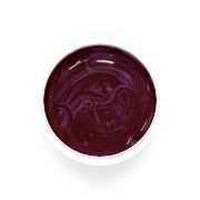 УФ цветной гель-лак для дизайна искусственных ногтей Garnet Red № 0854 фото