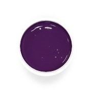 УФ цветной гель-лак для дизайна искусственных ногтей Lilac № 0431 фото
