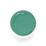 УФ цветной гель-лак для дизайна искусственных ногтей Pastel Green № 0743 фото