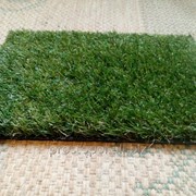 Искусственная трава Образец 6 фотография
