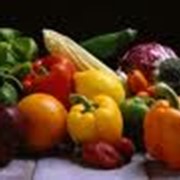 Овощи продажа, опт Украина фото