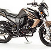 Мотоцикл BANDIT 250 (2020 г.) фото