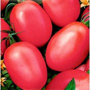 Семена томатов. Томат Де барао розовый фото