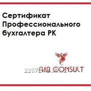 Национальный сертификат профессионального бухгалтера в Караганде