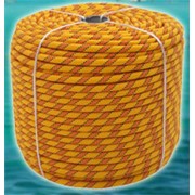 Верёвка страховочно-спасательная Янтарь фото