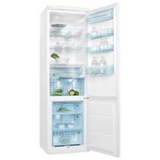 Холодильник Electrolux ERB 40233 W фото