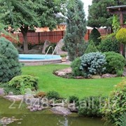 Ландшафтный дизайн Pine House Л01 фото