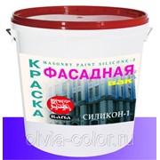 Краска фасадная СИЛИКОН-1 ВАК®, 1 кг (ведро) фото