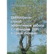 DbfWebServer – способ эффективной работы с таблицами DBF в среде Интернет фотография