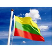 Годовая виза в Литву (90/360)