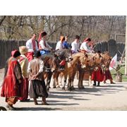 Horse theatre Zaporozhye фото