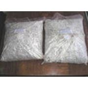 Мицелий вешенки