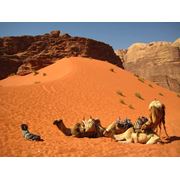 Вокруг Иордании за 8 дней - Экскурсионный тур по всем достопримечательностям Иордании фото