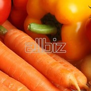 Продукты сельскохозяйственные, Выращивание и продажа плодоовощных культур: морковь, помидоры, кабачки и проч. Также, саженцы яблонь.