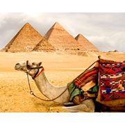 Горячие туры в Египет