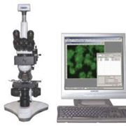 MICROS: MC 300 (TFXS) Компьютерная система анализа для флюоресценции фото