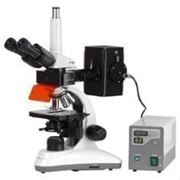 MC 300X FS — Флюоресцентный микроскоп фото