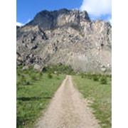 Корпоративы для компаний фото