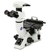 Микроскопы инвертированные. GX-41. фото