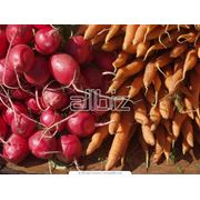 Овощи свежие Борщевой набор с базы оптом Свекла красная столовая Картофель Капуста белокачанная Лук репчатый Морковь
