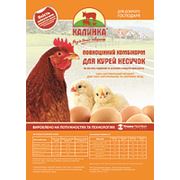 Комбикорм для цыплят 1-8 недель Калинка-5Н стартер фото