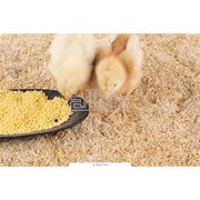 Комбикорм для цыплят-бройлеров фотография