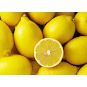 Лимон цена продам фото