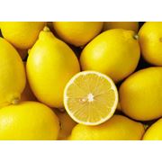 Лимоны в Украине цена фото