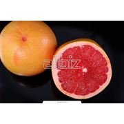 Грейпфрут красный оптом в Украине Купить Цена Фото фото