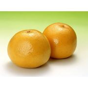Грейпфрут желтый турецкий испанский цитрусовые опт купить грейпфруты оптом фото