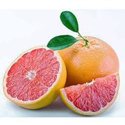 Свежие фрукты Грейпфрут фото