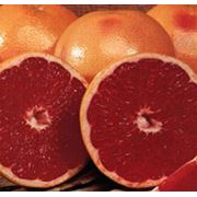 Грейпфрут красный в Украине Купить Цена Фото фото