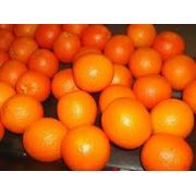 Апельсины органические