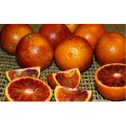 Красные апельсины купить оптом красные апельсины Винница Украина