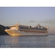 Круиз вокруг Южной Америки от Princess Cruises фото