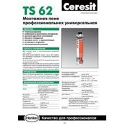 Пена монтажная Ceresit TS62 PRO 750мм ( под пистолет )