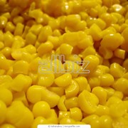 Кукуруза консервированная фотография