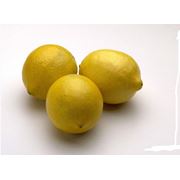 Цитрус лимон (Lemon) купить лучшего качества оптом