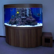 Угловой аквариум фото