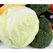 Капуста и другие овощи оптом и крупным оптом