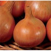 Лук Продам овощи: капуста помидоры перец баклажаны морковка свекла лук. Опт и розн.