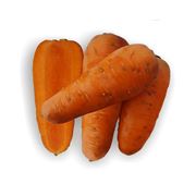 Семена моркови ШАНТАНЕ РЭД КОР семена семена моркови семена купить купить в Украине семена Украина купить цена фото