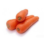 Морковь столовая оптом от производителя фото