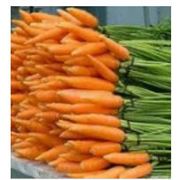 Морковь Болтэкс от фермера оптом свежая в отличном состоянии