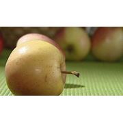 Яблоки летние оптом в Украине Купить Цена Фото фото