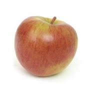 Яблоки сорт Галма фото