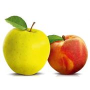 Яблоки осенние Херсон фотография